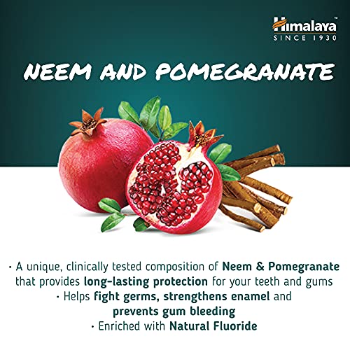 Himalaya Ayurvedic Dental Cream Herbal Toothpaste - Neem & pomegranate Gum protection |Helps fight Plague, Cavity and prevents tooth decay | with natural fluoride - 100g (Pack of 3)
